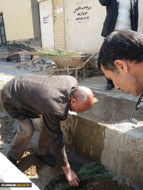 درختکاری97