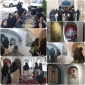 بازدید جمعی از دانشجویان گروه هنر دانشکده ملی مهارت دخترا‌ن سمنان از موزه فرش خود رنگ سنگسر